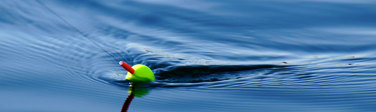 3 Fishing Tips To Start The New Year 3 Fishing Tips To Start The New Year