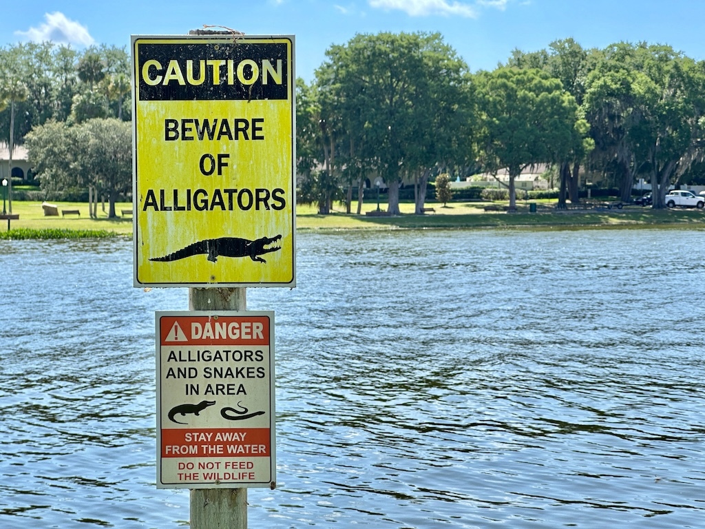 Tragic Alligator Attack Claims Life of Canoeist on… | Paddling.com