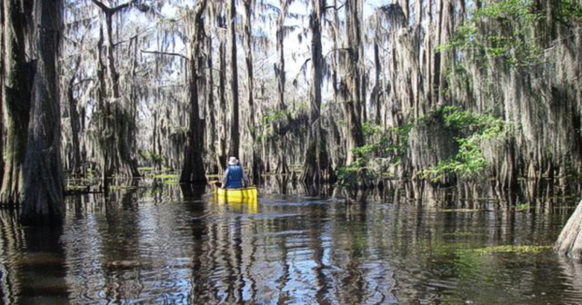 The 'Big Thicket' Canoeing MisAdventure