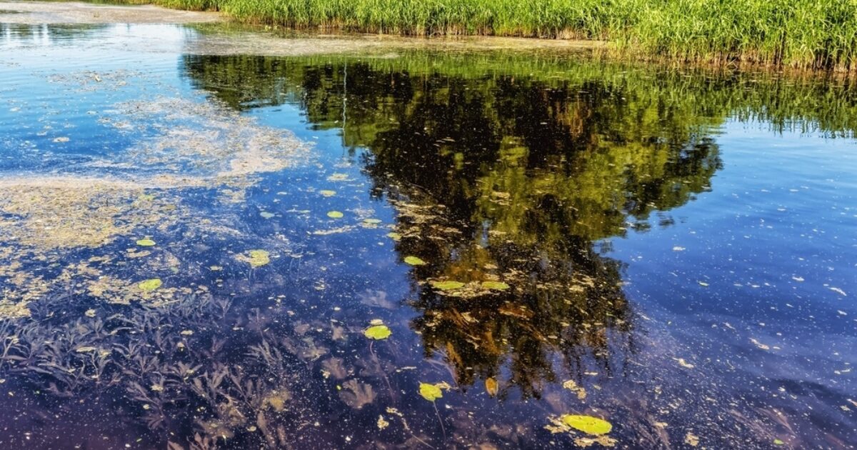 How Allergies Can Affect Paddling This Spring | Paddling.com