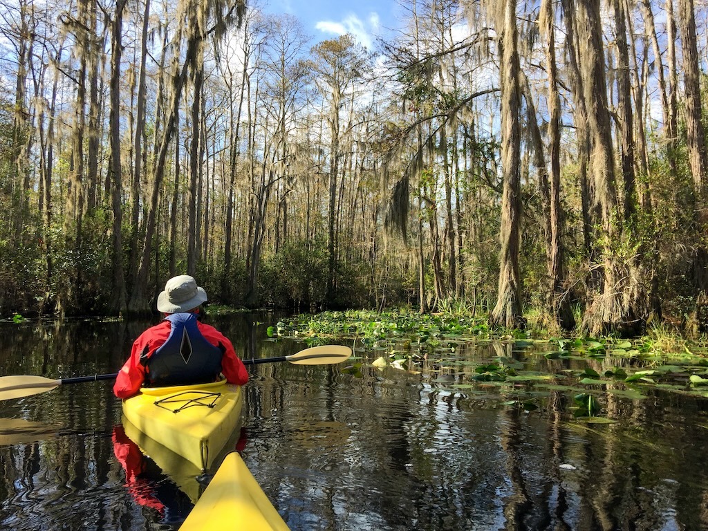 Tragic Alligator Attack Claims Life of Canoeist on… | Paddling.com
