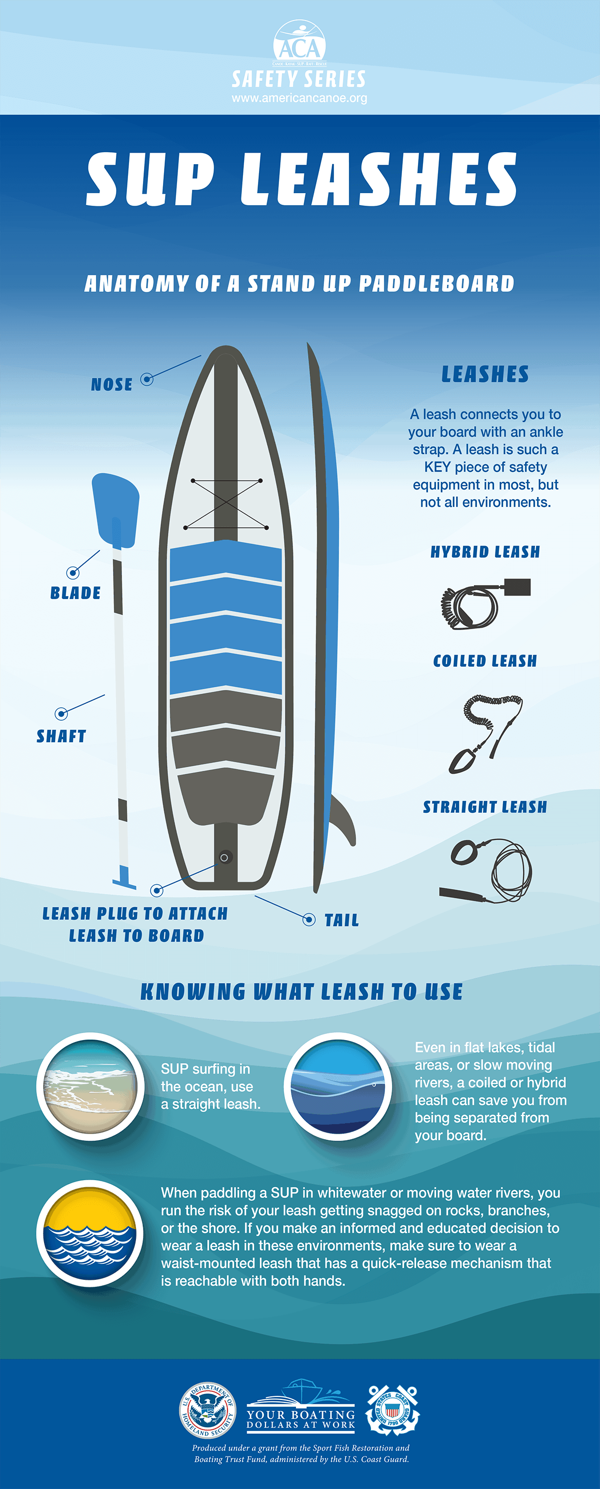 SUP Leashes Infographic SUP Leashes Infographic