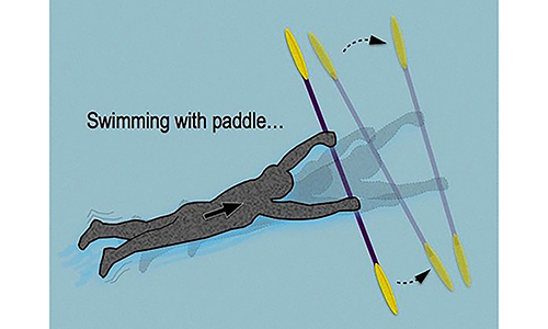 Kayak Pool Session - Swimming with Paddle Kayak Pool Session - Swimming with Paddle