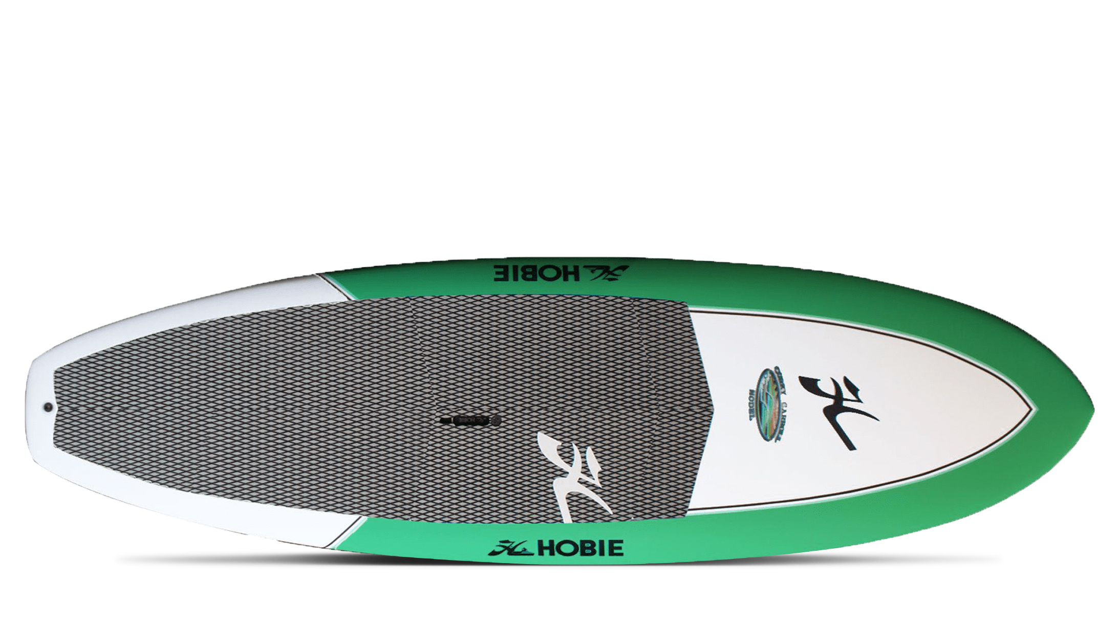 Corky Carroll 9'3