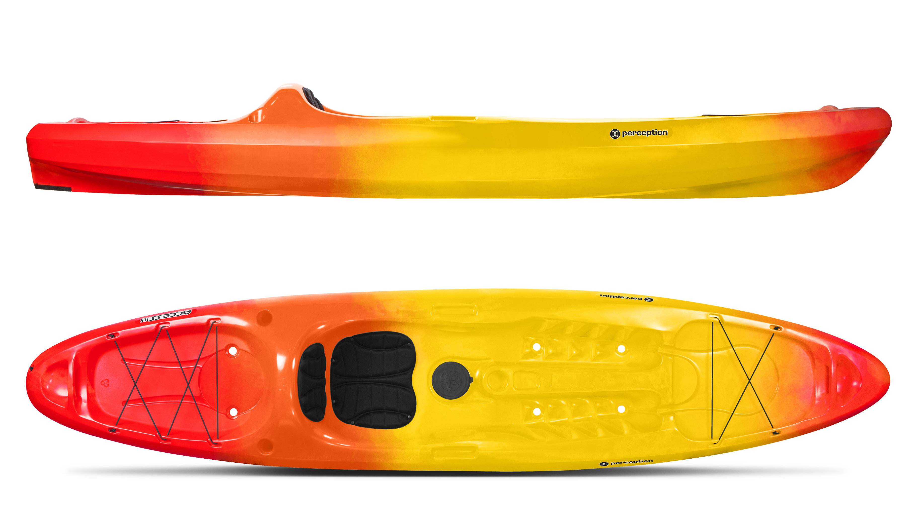 Access 11.5 Reviews Perception Buyers' Guide