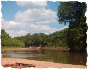 Flint River In Georgia Paddling Com