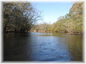 Cape Fear River Northeast In North Carolina Paddling Com