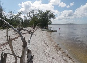 SW Gulf Everglades | Lostmans, Whitewater Bay, Cape Sable