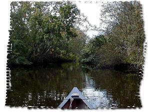 Turkey Creek Paddling, East-Central Florida. E-Z Map, Photos.